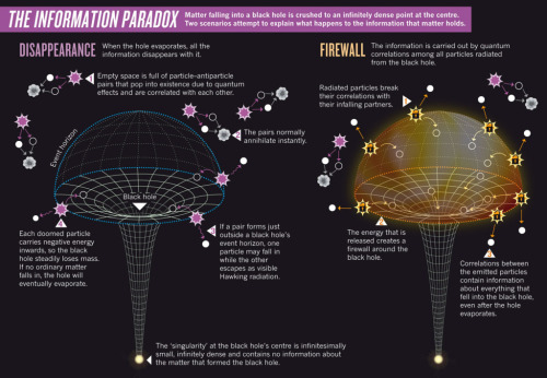 fromquarkstoquasars:Proposed Resolution For the Black Hole Information Paradox Shred a document, and