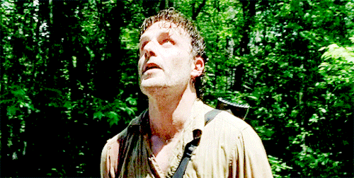The Walking Dead Guide