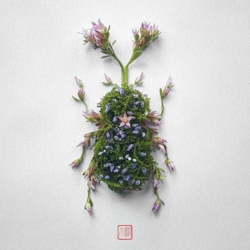 pr1nceshawn:Natura Insects – The delicate floral compositions by Raku Inoue.