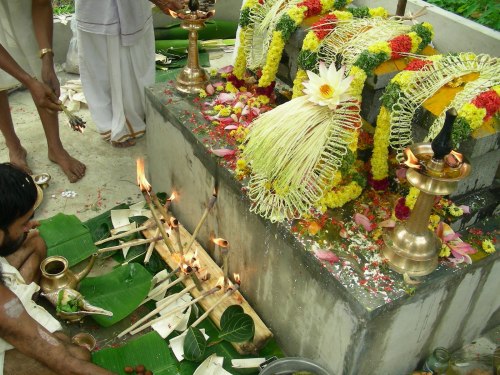 Naga (serpent) worship, Kerala