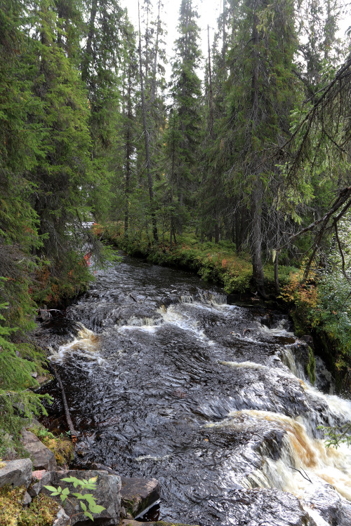 michaelnordeman:Yxingåfallet in Dalarna, Sweden. One of the most wonderful places I’ve e