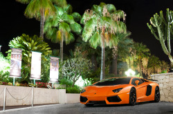 automotivated:  Lamborghini Aventador (by __martin__)