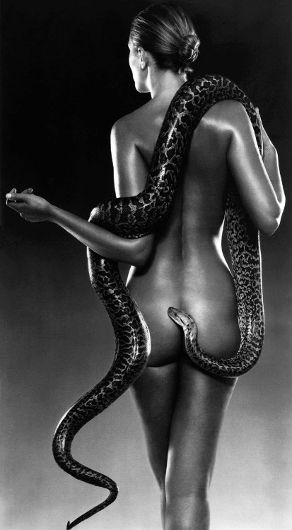 20th-century-man:Nude with snake / photo by John Swannell, 2009.