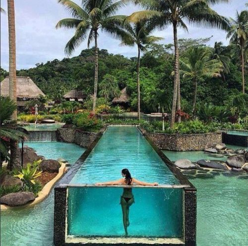 madness-is-my-life:sixpenceee:Located in Laucala, Fiji at the Laucala Island Resort, this pool looks