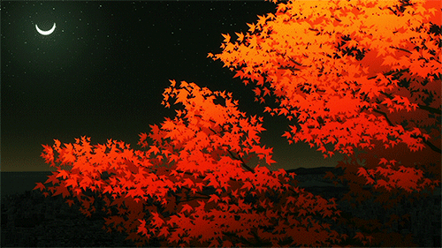 Autumn Fall Leaves In The Water GIF  GIFDBcom