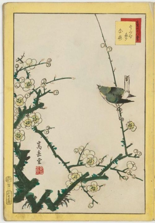 Kachō-ga fu 花鳥 画 譜 :Title page ( Mokuroku 目録 ) No. 1, White Falcon and Five-needled Pine (Shirotaka 