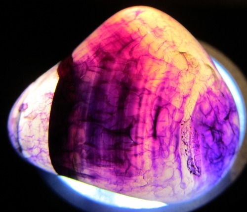 Various stones exposed to bright lights.