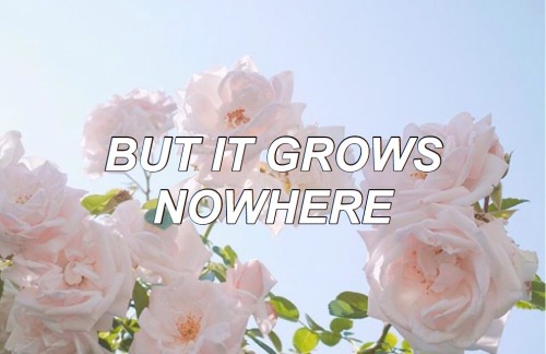 wanderinglips: The Piano Knows Something I Don’t Know // Panic! At The Disco