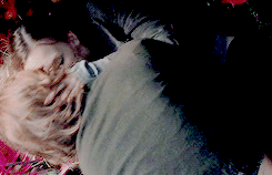 yensunicorn:  Now tell me about the lily…the lily means “I dare you to love me”. 