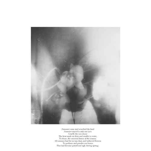 blackmetalhipster:  (All there was to summer was this) Words and photos by me.   The simple joys of maidenhood.