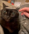jimmyhrt:fuck with me