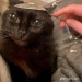 jimmyhrt:fuck with me