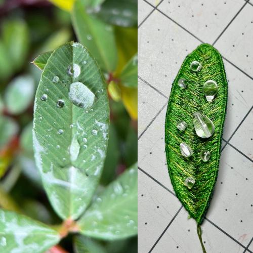 I Like To Take Photographs Of Plants After It Rains. So I Decided To Try And Make An Embroidery Mimicking