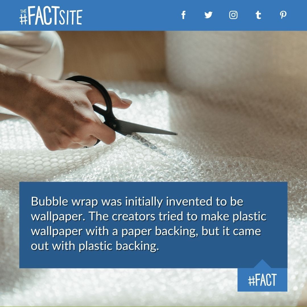 The Key Points in the History of Bubble Wrap