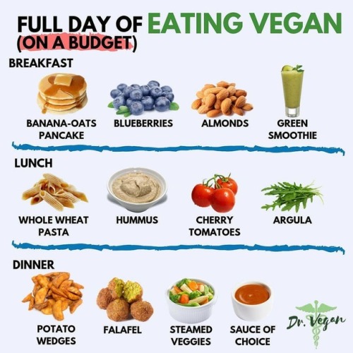 Reposted from @dr.vegan (@get_regrann) - FULL DAY OF EATING VEGAN (ON A BUDGET) ⁣ NOTE: these meals 