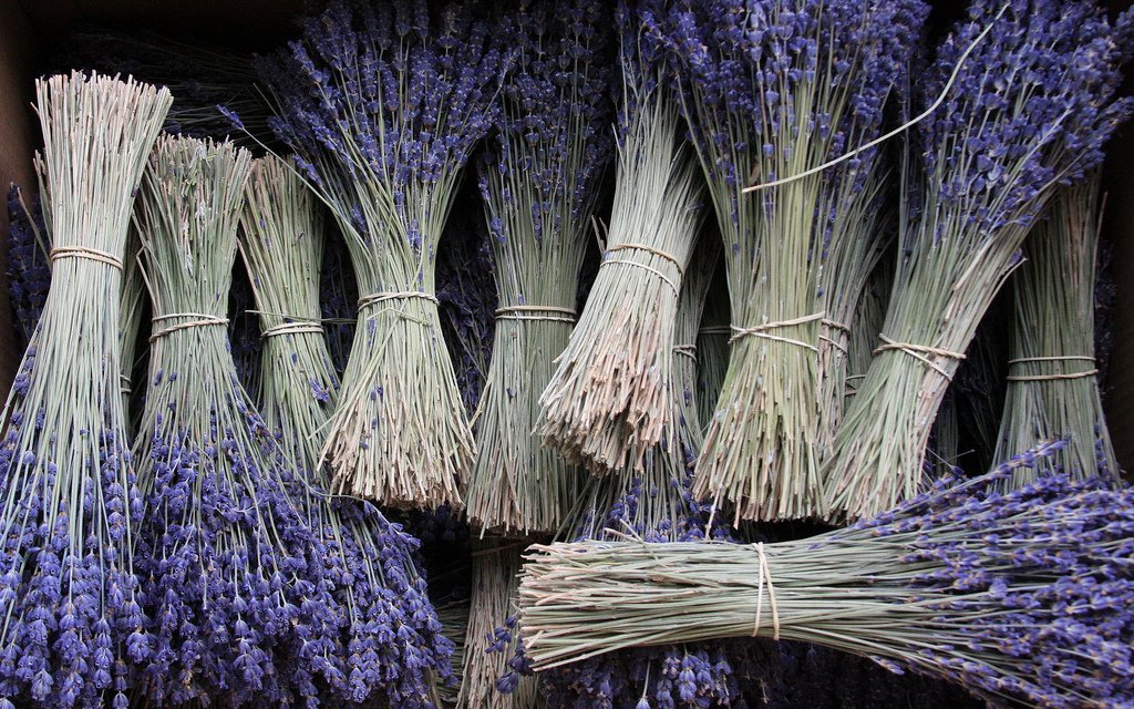 Witch Tips: Lavender*if you are allergic to lavender, read my post on substitutes*
~ What is Lavender?
Lavender is a part of the mint family, native to the Mediterranean region, and parts of Africa and India. This purple herb carries a very fragrant...