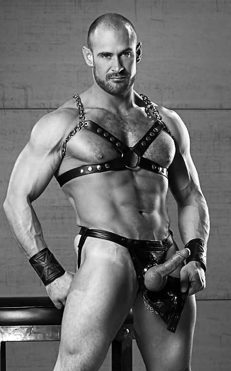 cuirmale:HARNESS MANN!!!