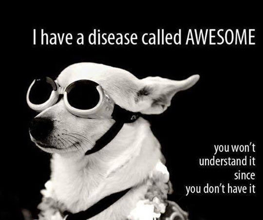 advice-animal:  You Will Never Understand Ithttp://advice-animal.tumblr.com/