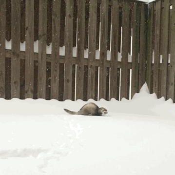 I love snow! 