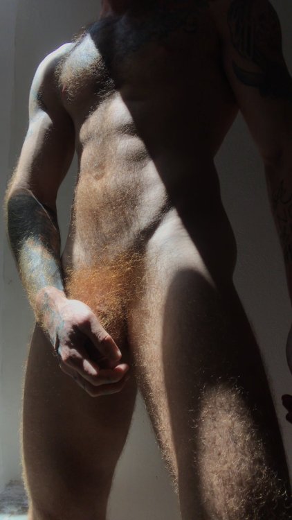 bearnakedbaker:  markek65:Good morning ginger  SUNDAY   Ginger otter!