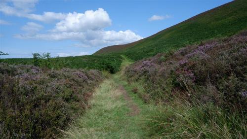 Levisham Moor, North Yorkshire, England.