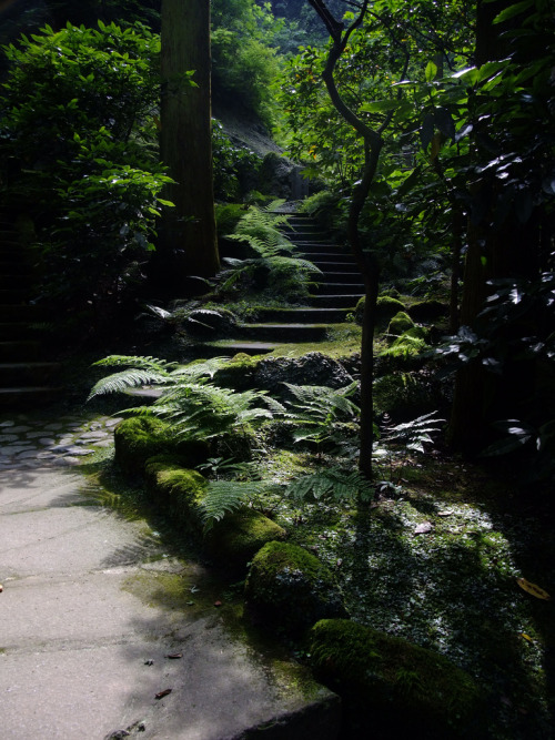 Green atmosphere(2) Tokeiji TempleKamakura, JapanBy : Bun Oshita