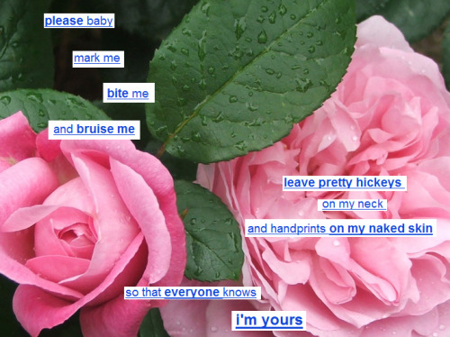 I'm Cat And I Think You're Very Lovely xoxoxoxoxo