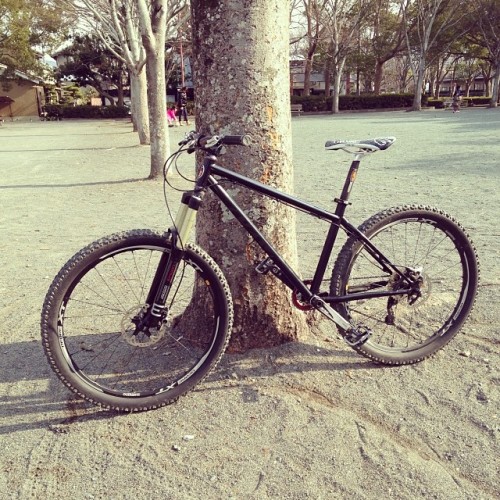eng-kbz:  公園で乗っても楽しい。#cotic
