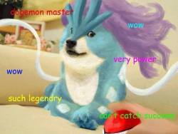 shibe-doge:  wow such suicune  