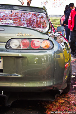 streetstance:  street stance  —socialq