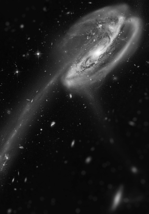 chaosophia218:  Tilt-Shifted Images of the Cosmos.1. Horsehead Nebula2. Centaurus A3. Crab Nebula4. Andromeda Galaxy5. Meathook Galaxy6. Thor’s Helmet Nebula7. Pencil Nebula8. Tadpole Galaxy