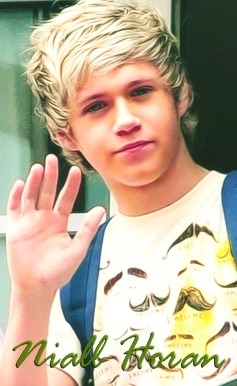 Happy Birthday Niall
