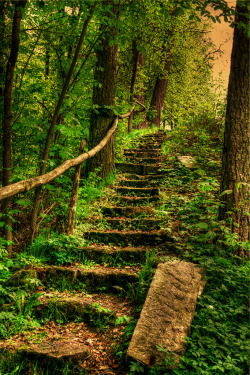 lori-rocks:  Treppe - stairs (by vampire-carmen