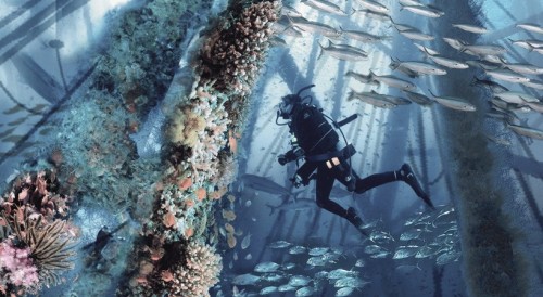 thecreativesense: Noah Oasis - Vertical habitats from disused oil rigs Oil rigs can be ugly things, 