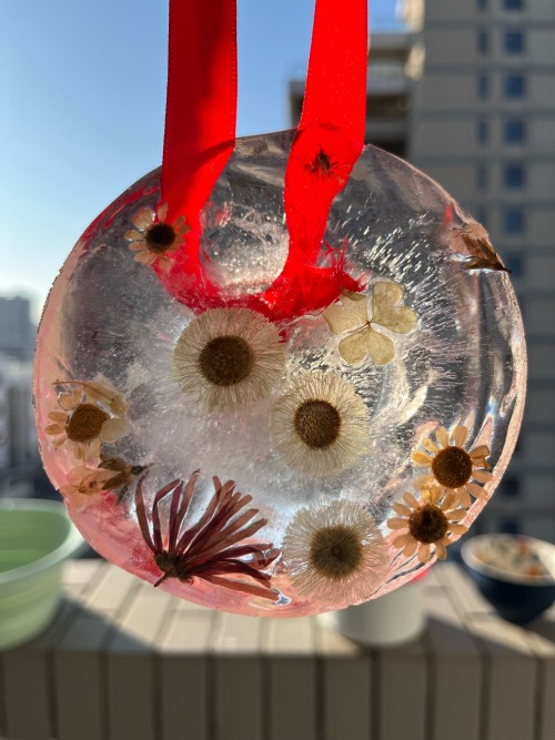 Its Winter Solstice Today! I Made Some Ice Hanging Decorations With Dried Flowers This Morning
