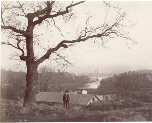  Rural outskirts of Stockholm, Sweden, ca. 1880