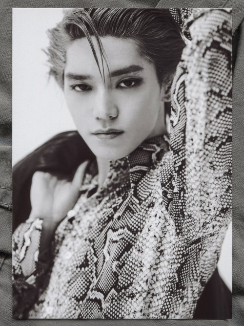 yonglq:TAEYONG x Flaunt Magazine 