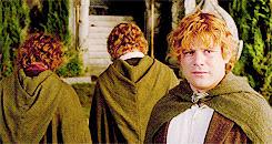 elijahwood:“Then as he had kept watch Sam had noticed that at times a light seemed to be shining fai