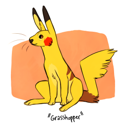 norisus:  Some weird little pikachu variants “Grasshopper” pikachus are fast little bouncy things that inhabit plains and grasslands. “Snowshoe” pikachus are large and thick-coated, capable of surviving sub-zero temperatures. “Treetop” pikachus