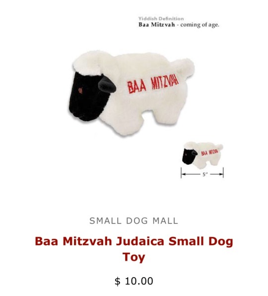 kitrona: squat-mitzvah:   aka-maayan:  aka-maayan:  aka-maayan:  squat-mitzvah:   aka-maayan:  squat-mitzvah:  I don’t know who needs to hear this but you can get your dog a pen chew toy that says “Bark Mitzvah”  I needed to hear that and I don’t