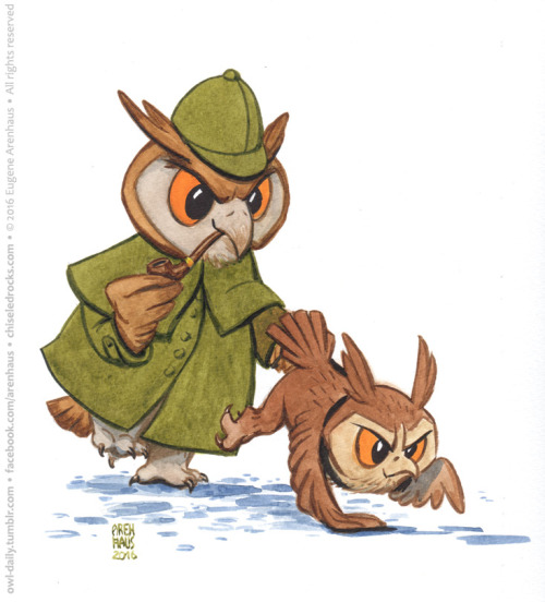 №495: Detective owl.