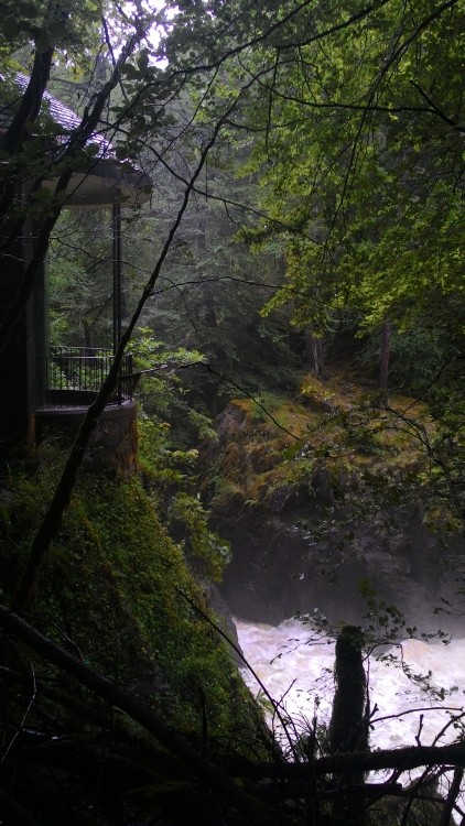 on-misty-mountains: Hermitage near Dunkeld and river Braan swollen after strong rain.