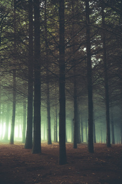 ominousraincloud:  365#151 | By Pablo Castro