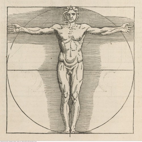 Vitruvius Pollio. Architecture : ou Art de bien bastir, 1547.OLC.V834.Eh547Houghton Library, Harvard