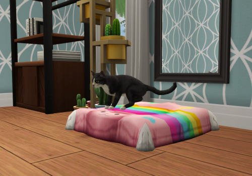 kayleigh-83: Something cute for your pets! This pet bed is from the My First Pet pack, all swatches 