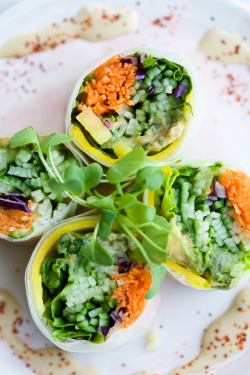 vegan-yums:  Fresh Veggie Summer Rolls / Recipe