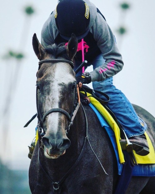 ARROGATE