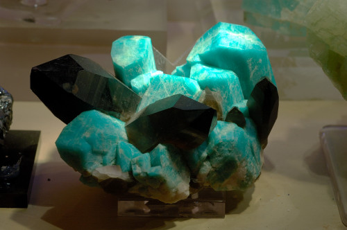 Amazonite and Smoky QuartzThis gem quality piece comes from the collection of Jack Halpern, famed mi