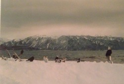  Alaska, 1998 