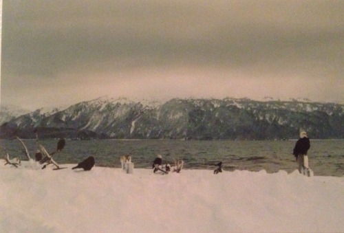  Alaska, 1998 